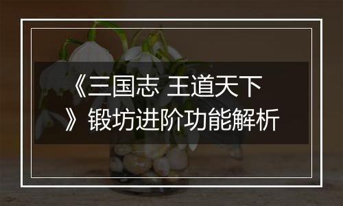 《三国志 王道天下》锻坊进阶功能解析
