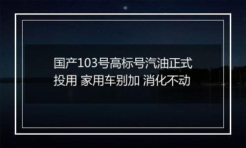 国产103号高标号汽油正式投用 家用车别加 消化不动
