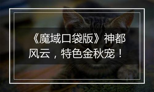 《魔域口袋版》神都风云，特色金秋宠！