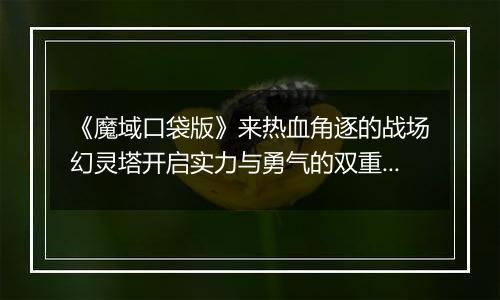 《魔域口袋版》来热血角逐的战场幻灵塔开启实力与勇气的双重比拼！