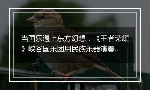 当国乐遇上东方幻想，《王者荣耀》峡谷国乐团用民族乐器演奏玩家故事