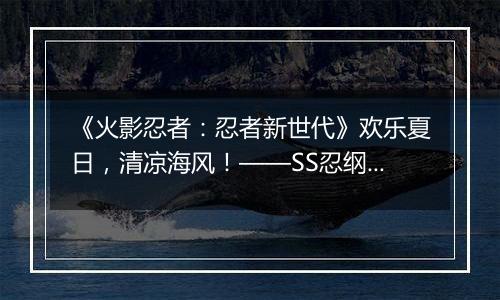 《火影忍者：忍者新世代》欢乐夏日，清凉海风！——SS忍纲手 [夏装]登场！