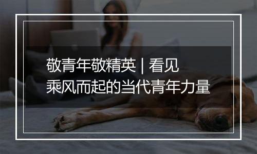 敬青年敬精英 | 看见乘风而起的当代青年力量