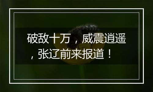 破敌十万，威震逍遥，张辽前来报道！