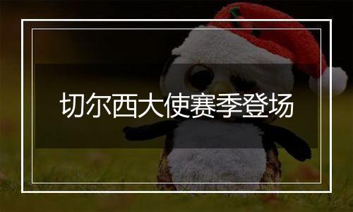 切尔西大使赛季登场