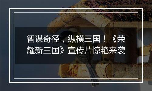 智谋奇径，纵横三国！《荣耀新三国》宣传片惊艳来袭