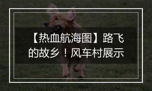 【热血航海图】路飞的故乡！风车村展示