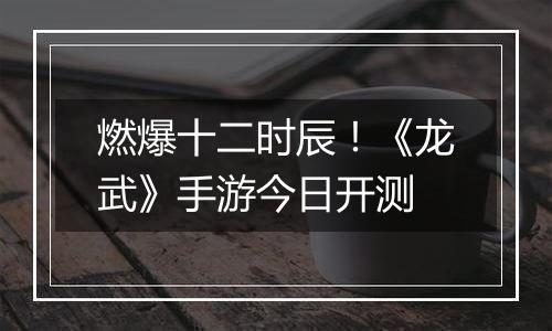 燃爆十二时辰！《龙武》手游今日开测