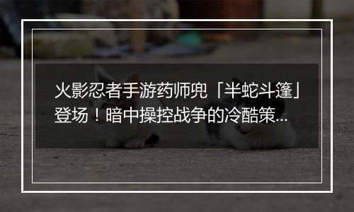 火影忍者手游药师兜「半蛇斗篷」登场！暗中操控战争的冷酷策士！