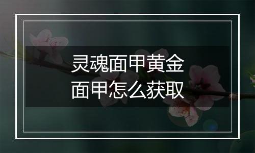 灵魂面甲黄金面甲怎么获取