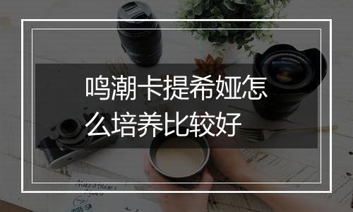 鸣潮卡提希娅怎么培养比较好