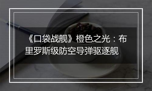 《口袋战舰》橙色之光：布里罗斯级防空导弹驱逐舰