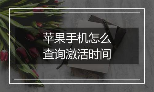 苹果手机怎么查询激活时间
