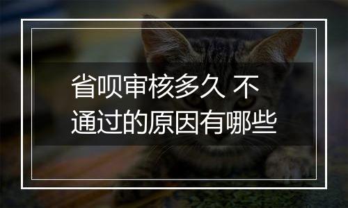 省呗审核多久 不通过的原因有哪些