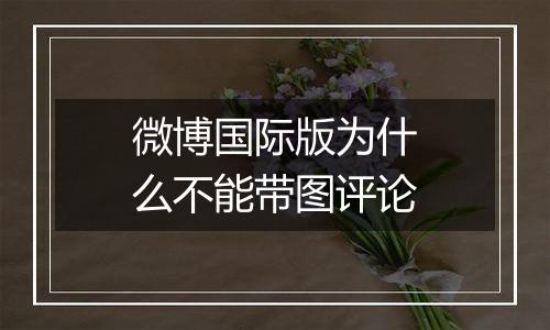 微博国际版为什么不能带图评论