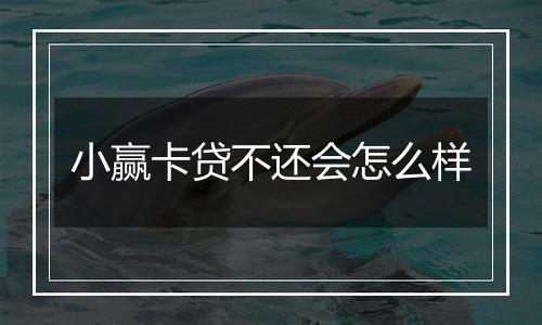 小赢卡贷不还会怎么样