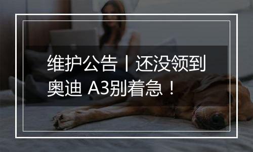 维护公告丨还没领到奥迪 A3别着急！