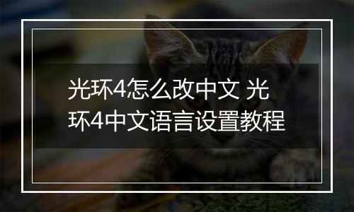 光环4怎么改中文 光环4中文语言设置教程