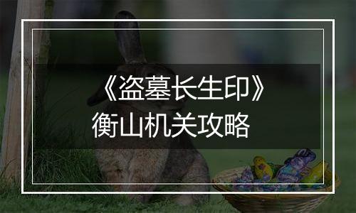 《盗墓长生印》衡山机关攻略