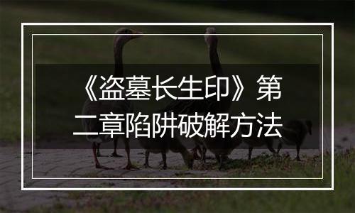 《盗墓长生印》第二章陷阱破解方法