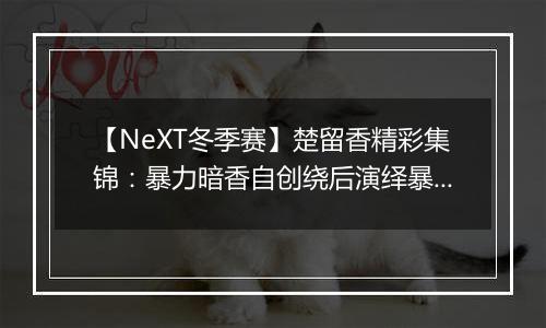 【NeXT冬季赛】楚留香精彩集锦：暴力暗香自创绕后演绎暴力美学！