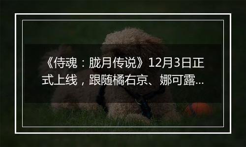 《侍魂：胧月传说》12月3日正式上线，跟随橘右京、娜可露露开启武者之路！