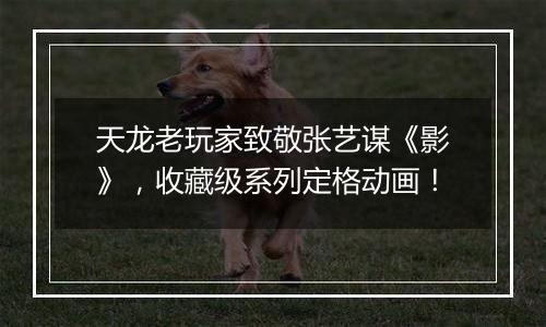 天龙老玩家致敬张艺谋《影》，收藏级系列定格动画！