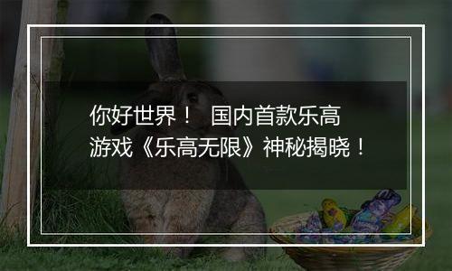 你好世界！  国内首款乐高游戏《乐高无限》神秘揭晓！
