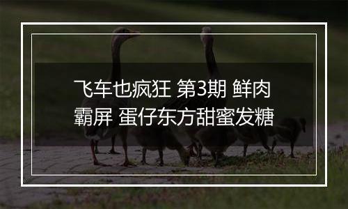 飞车也疯狂 第3期 鲜肉霸屏 蛋仔东方甜蜜发糖