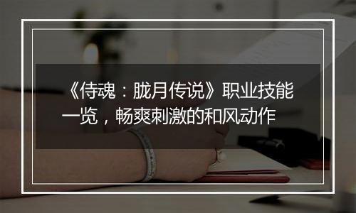 《侍魂：胧月传说》职业技能一览，畅爽刺激的和风动作