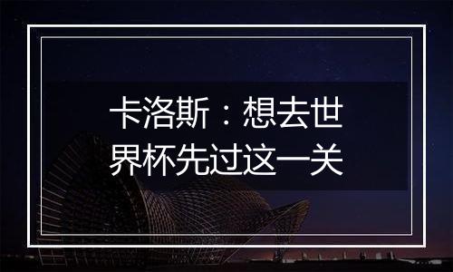 卡洛斯：想去世界杯先过这一关