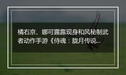 橘右京、娜可露露现身和风秘制武者动作手游《侍魂：胧月传说》