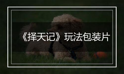 《择天记》玩法包装片