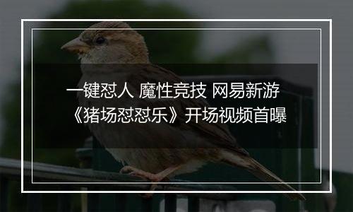 一键怼人 魔性竞技 网易新游《猪场怼怼乐》开场视频首曝