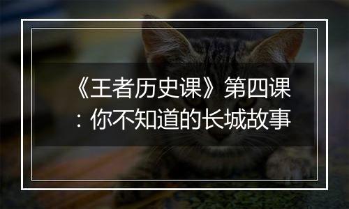 《王者历史课》第四课：你不知道的长城故事