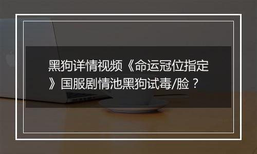 黑狗详情视频《命运冠位指定》国服剧情池黑狗试毒/脸？