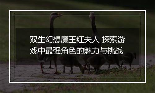 双生幻想魔王红夫人 探索游戏中最强角色的魅力与挑战