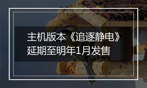 主机版本《追逐静电》延期至明年1月发售