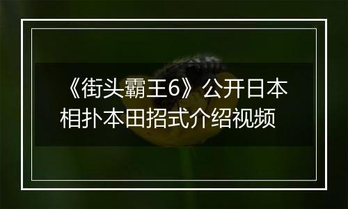 《街头霸王6》公开日本相扑本田招式介绍视频