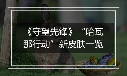 《守望先锋》“哈瓦那行动”新皮肤一览