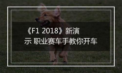 《F1 2018》新演示 职业赛车手教你开车