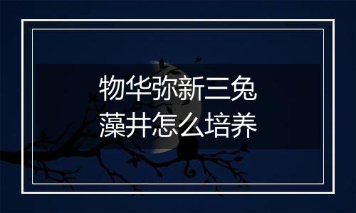 物华弥新三兔藻井怎么培养
