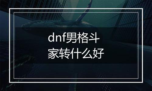 dnf男格斗家转什么好