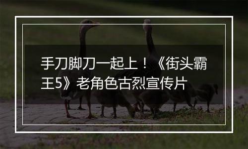 手刀脚刀一起上！《街头霸王5》老角色古烈宣传片