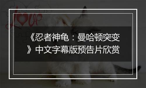 《忍者神龟：曼哈顿突变》中文字幕版预告片欣赏