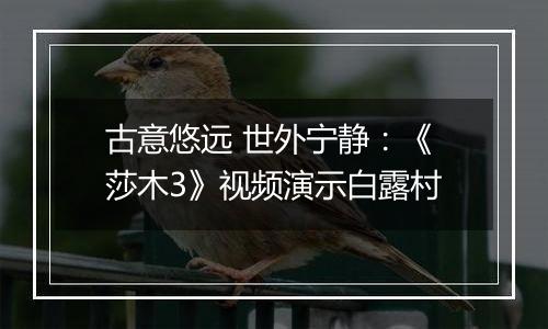 古意悠远 世外宁静：《莎木3》视频演示白露村