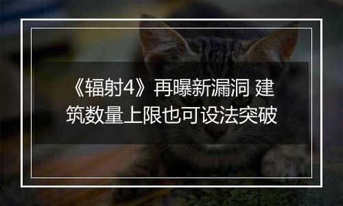 《辐射4》再曝新漏洞 建筑数量上限也可设法突破