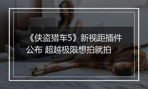 《侠盗猎车5》新视距插件公布 超越极限想拍就拍