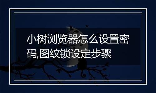 小树浏览器怎么设置密码,图纹锁设定步骤