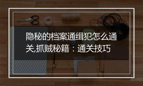 隐秘的档案通缉犯怎么通关,抓贼秘籍：通关技巧